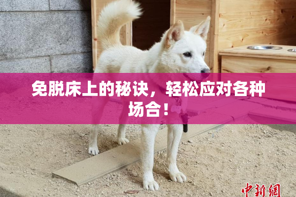 免脱床上的秘诀，轻松应对各种场合！