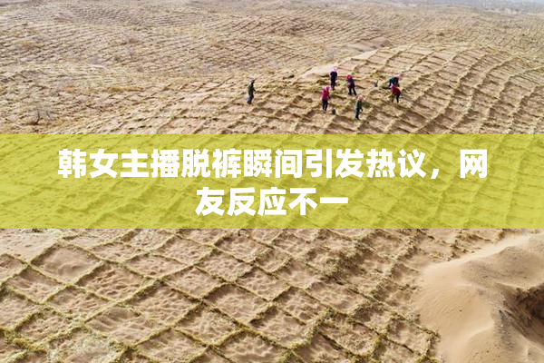 韩女主播脱裤瞬间引发热议，网友反应不一