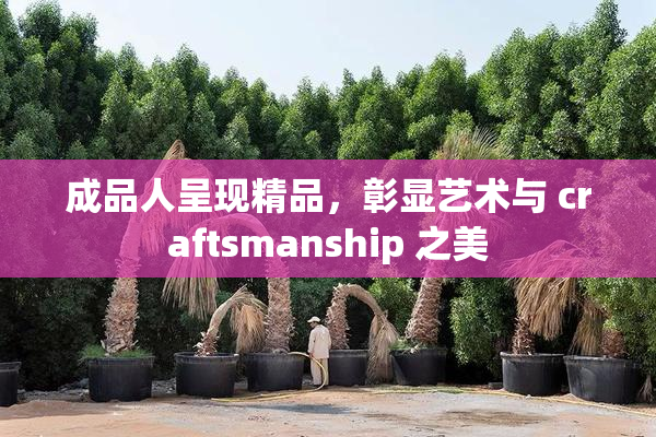 成品人呈现精品，彰显艺术与 craftsmanship 之美