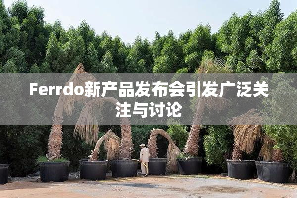 Ferrdo新产品发布会引发广泛关注与讨论