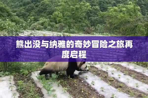 熊出没与纳雅的奇妙冒险之旅再度启程