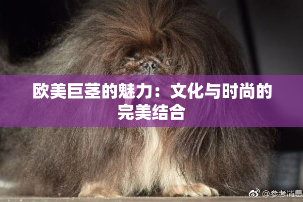 欧美巨茎的魅力：文化与时尚的完美结合