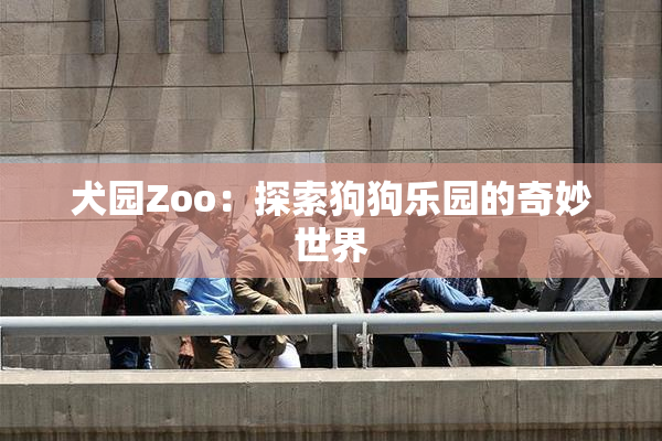 犬园Zoo：探索狗狗乐园的奇妙世界