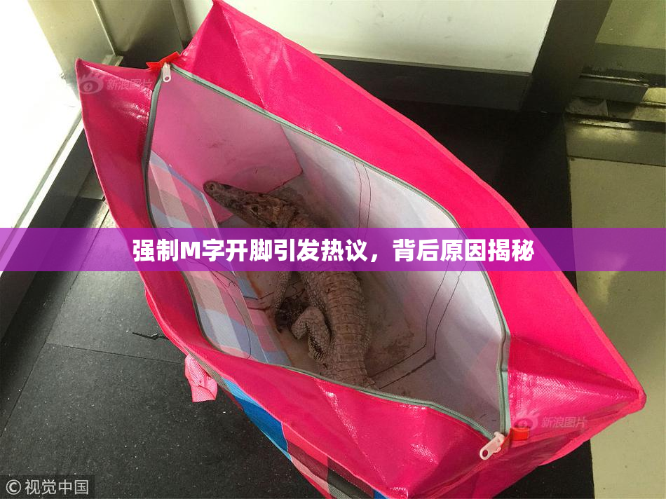 强制M字开脚引发热议，背后原因揭秘