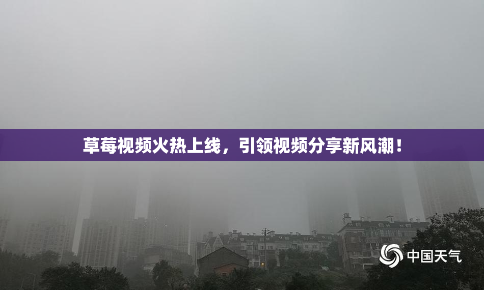 草莓视频火热上线，引领视频分享新风潮！