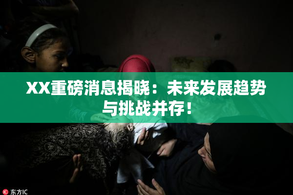 XX重磅消息揭晓：未来发展趋势与挑战并存！