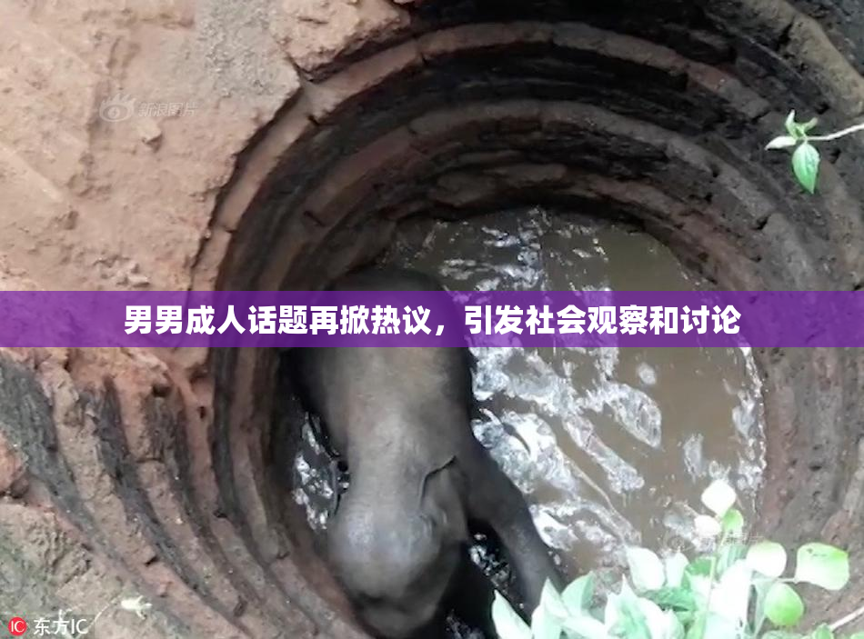 男男成人话题再掀热议，引发社会观察和讨论