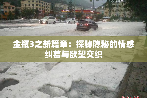 金瓶3之新篇章：探秘隐秘的情感纠葛与欲望交织