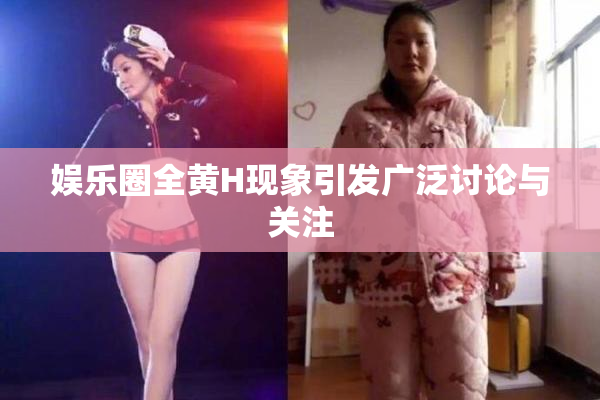 娱乐圈全黄H现象引发广泛讨论与关注