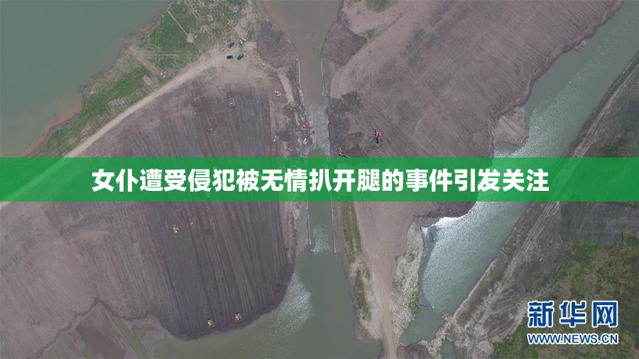女仆遭受侵犯被无情扒开腿的事件引发关注