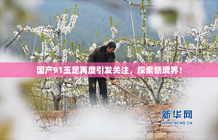 国产91玉足再度引发关注，探索新境界！