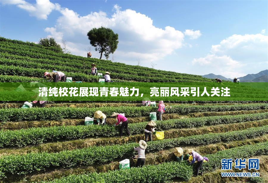 清纯校花展现青春魅力，亮丽风采引人关注