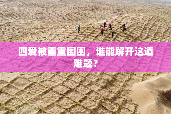 四爱被重重围困，谁能解开这道难题？