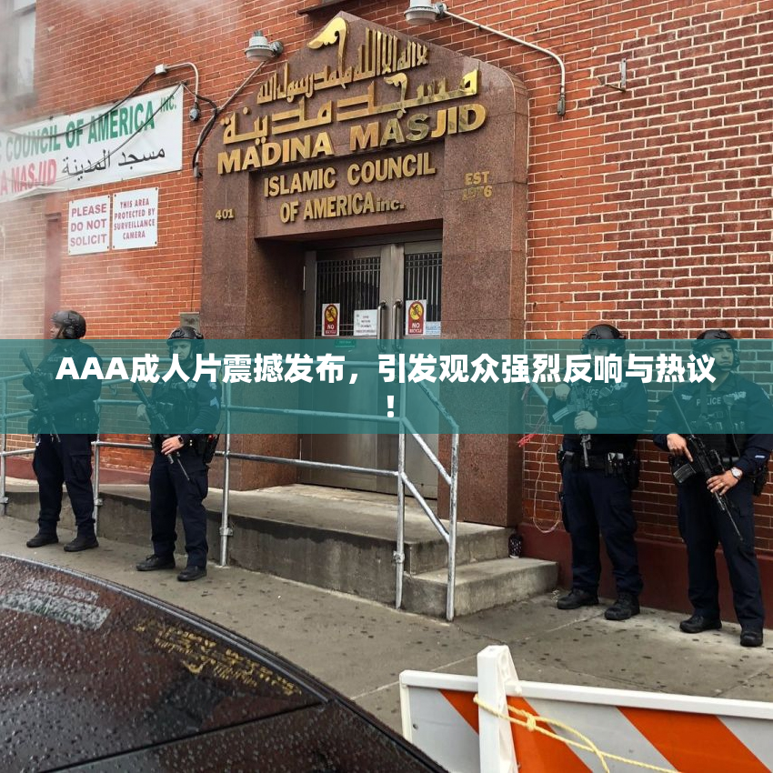 AAA成人片震撼发布，引发观众强烈反响与热议！