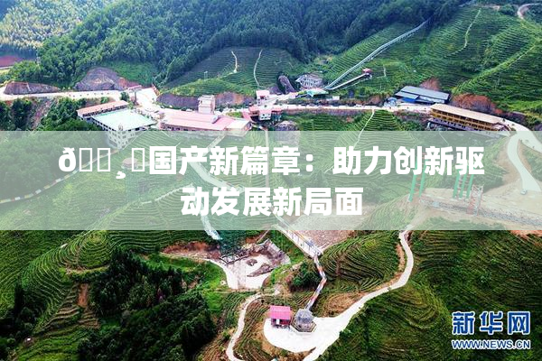🌸‌国产新篇章：助力创新驱动发展新局面