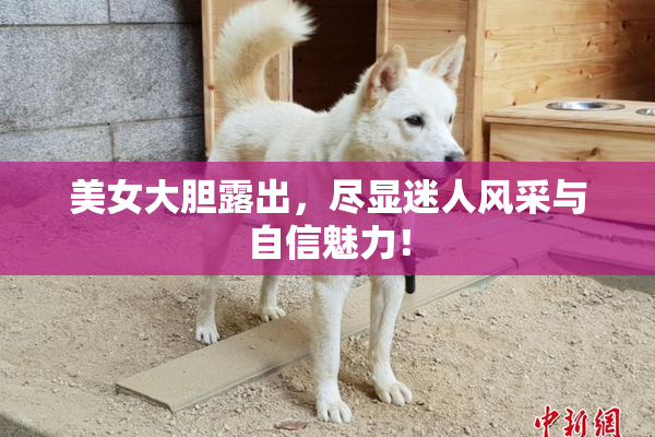 美女大胆露出，尽显迷人风采与自信魅力！
