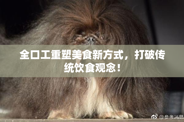 全口工重塑美食新方式，打破传统饮食观念！