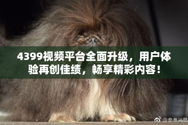 4399视频平台全面升级，用户体验再创佳绩，畅享精彩内容！