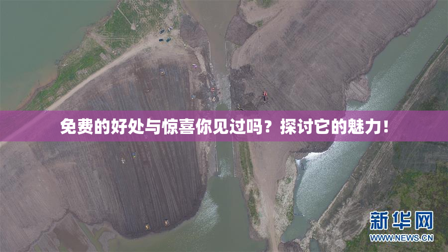 免费的好处与惊喜你见过吗？探讨它的魅力！