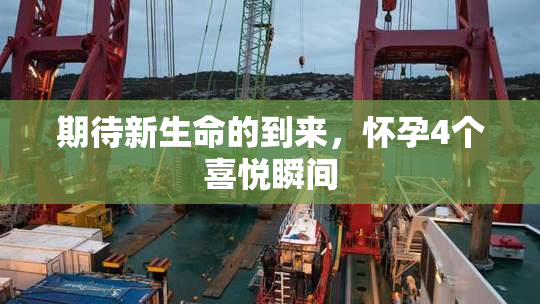 期待新生命的到来，怀孕4个喜悦瞬间