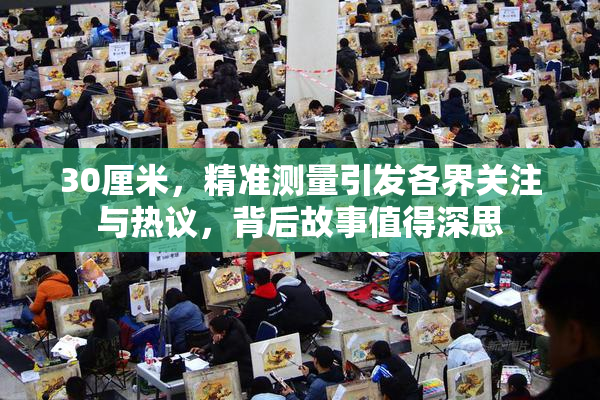 30厘米，精准测量引发各界关注与热议，背后故事值得深思