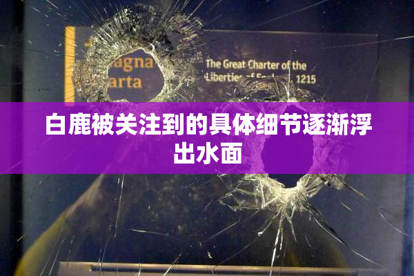 白鹿被关注到的具体细节逐渐浮出水面