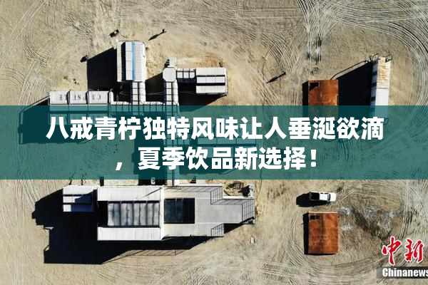 八戒青柠独特风味让人垂涎欲滴，夏季饮品新选择！