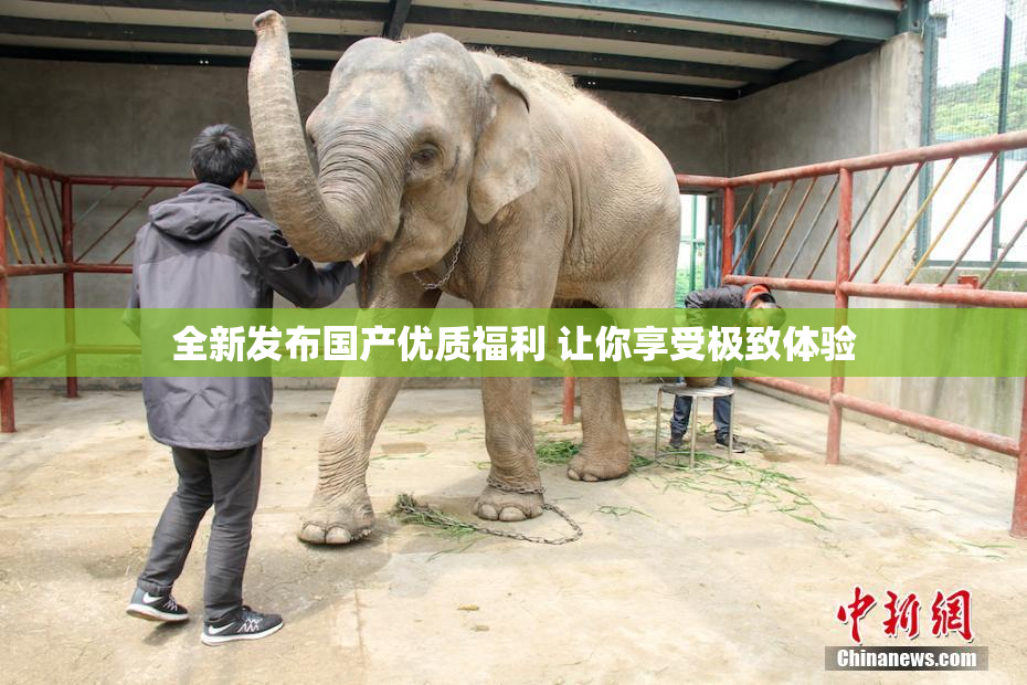 全新发布国产优质福利 让你享受极致体验