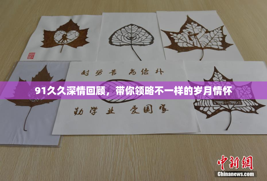 91久久深情回顾，带你领略不一样的岁月情怀