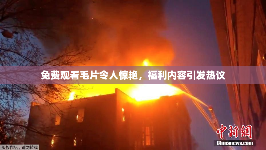 免费观看毛片令人惊艳，福利内容引发热议