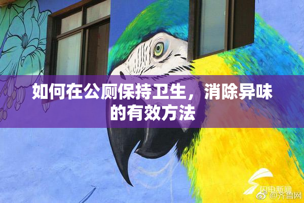 如何在公厕保持卫生，消除异味的有效方法