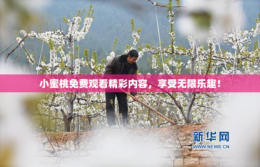 小蜜桃免费观看精彩内容，享受无限乐趣！