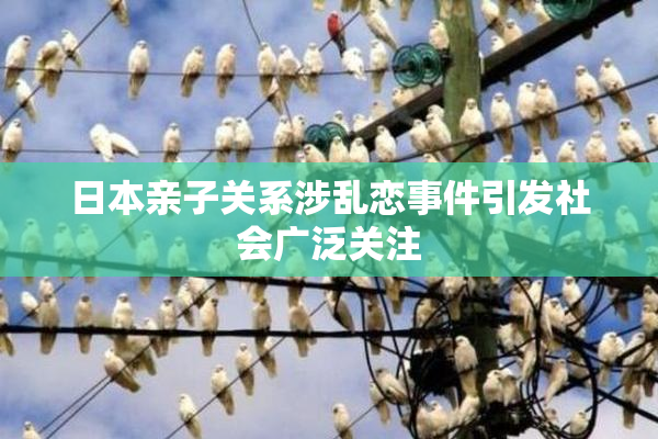 日本亲子关系涉乱恋事件引发社会广泛关注