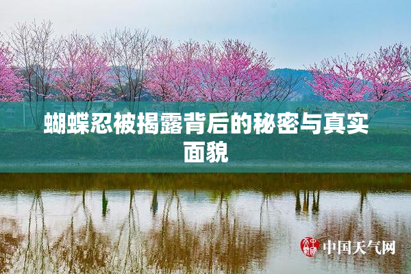 蝴蝶忍被揭露背后的秘密与真实面貌