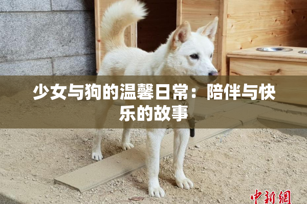 少女与狗的温馨日常：陪伴与快乐的故事