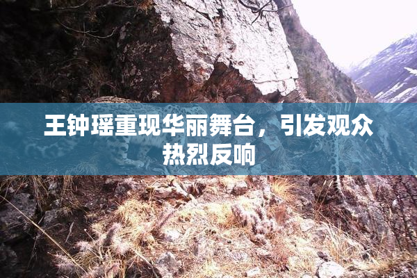 王钟瑶重现华丽舞台，引发观众热烈反响