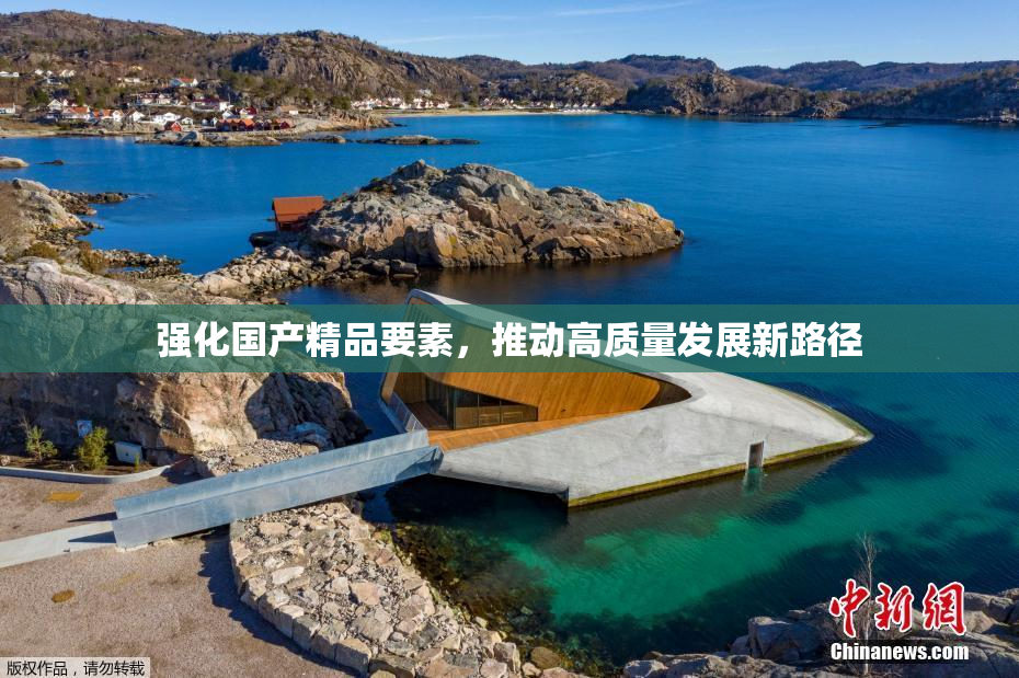 强化国产精品要素，推动高质量发展新路径
