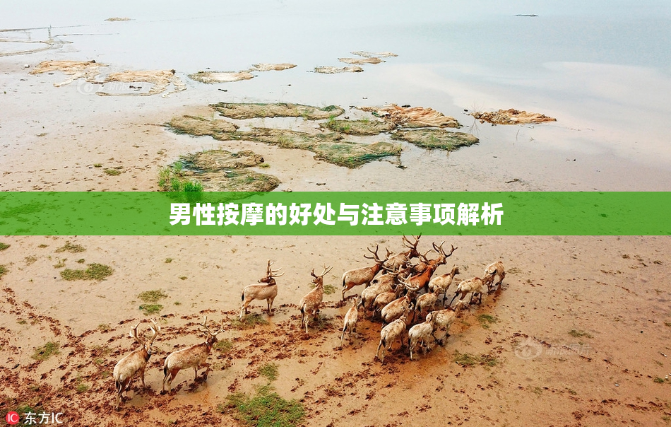 男性按摩的好处与注意事项解析