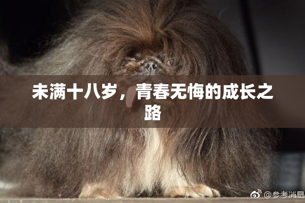 未满十八岁，青春无悔的成长之路