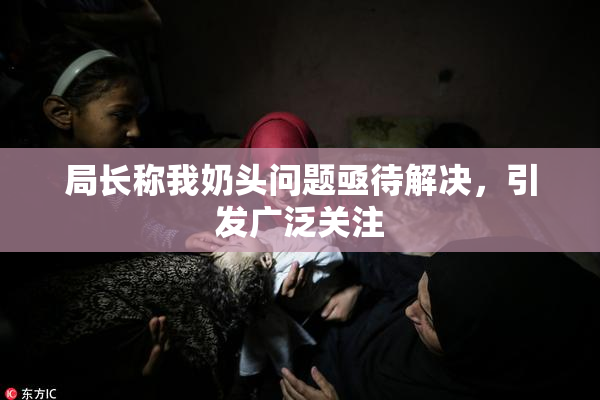 局长称我奶头问题亟待解决，引发广泛关注