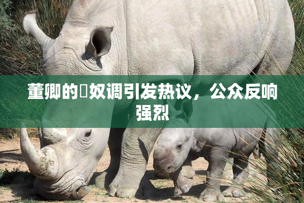董卿的婬奴调引发热议，公众反响强烈
