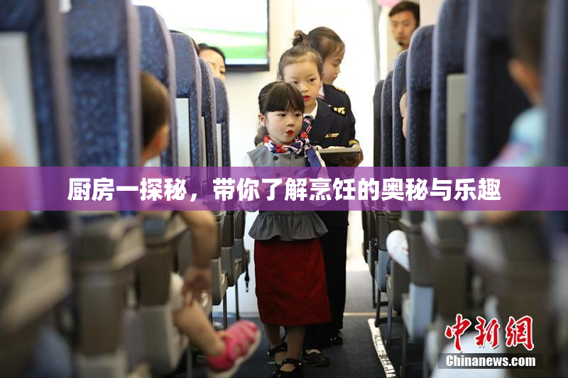 厨房一探秘，带你了解烹饪的奥秘与乐趣