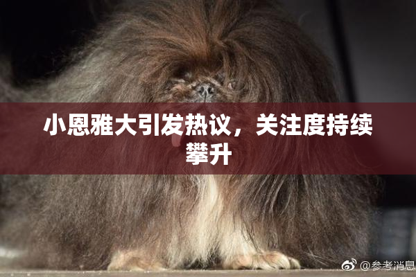 小恩雅大引发热议，关注度持续攀升