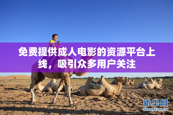 免费提供成人电影的资源平台上线，吸引众多用户关注