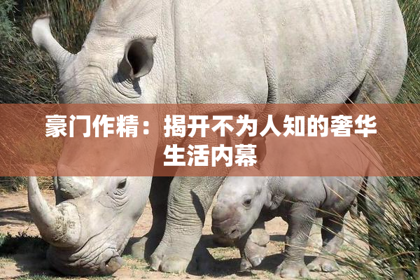 豪门作精：揭开不为人知的奢华生活内幕