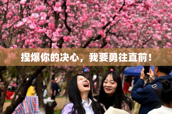 捏爆你的决心，我要勇往直前！