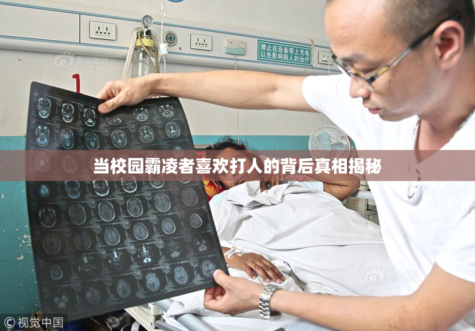 当校园霸凌者喜欢打人的背后真相揭秘