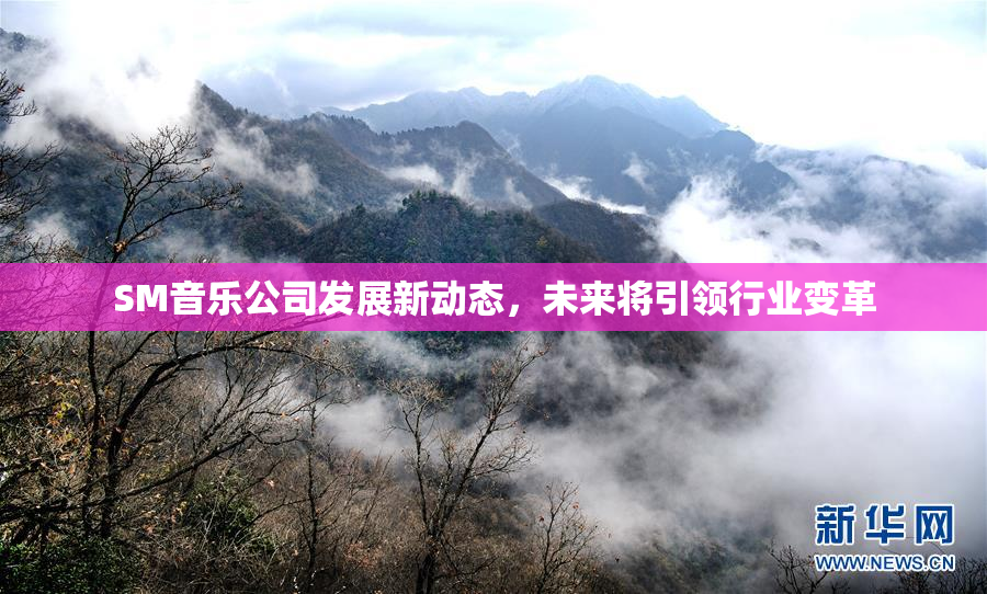 SM音乐公司发展新动态，未来将引领行业变革