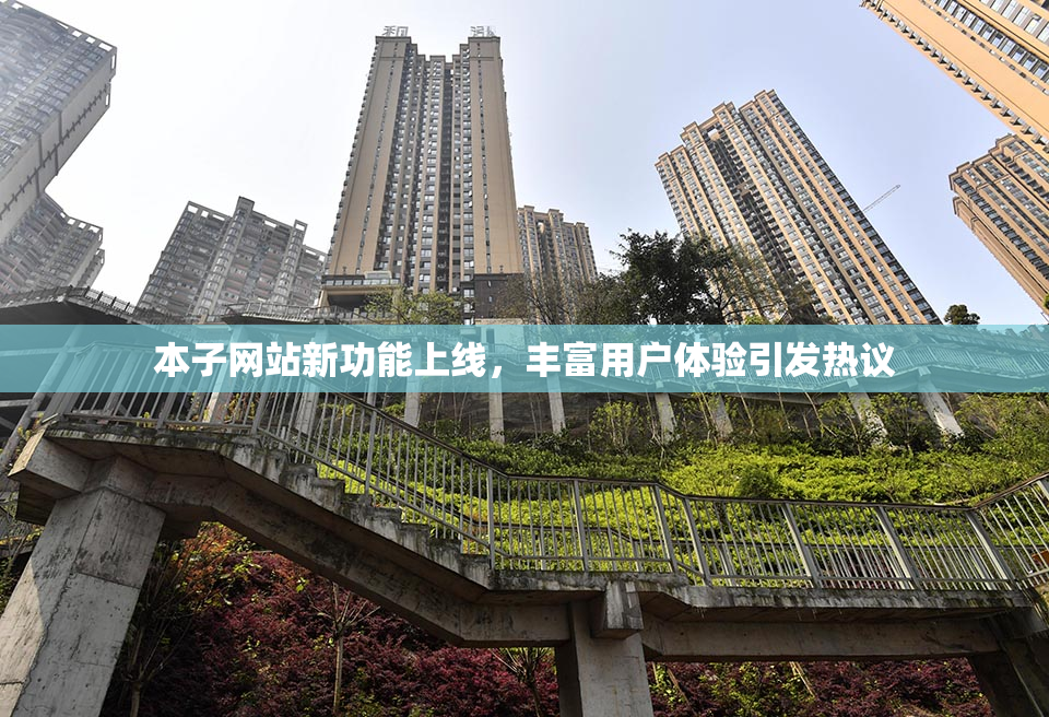 本子网站新功能上线，丰富用户体验引发热议
