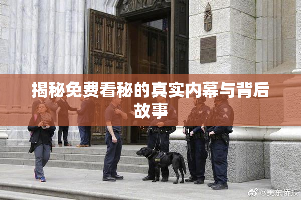 揭秘免费看秘的真实内幕与背后故事